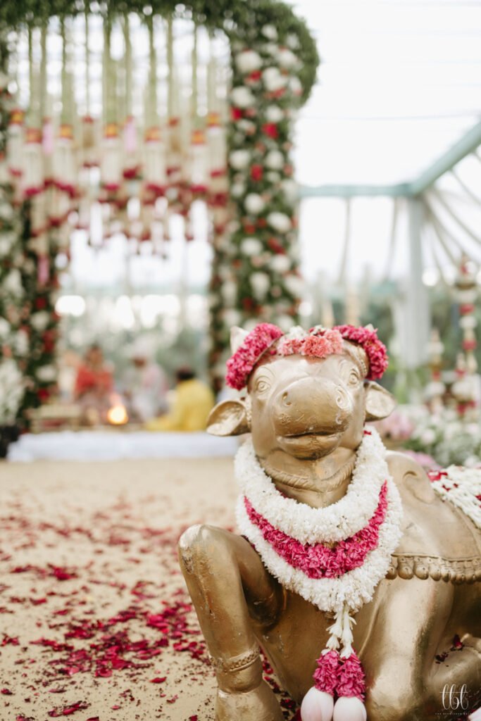 Best Wedding Photographer in India