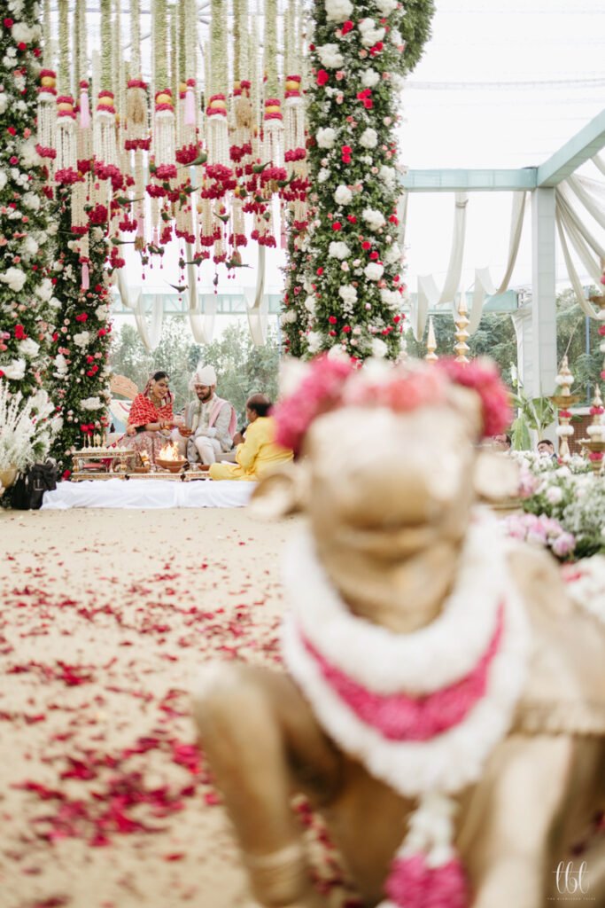 Best Wedding Photographer in India